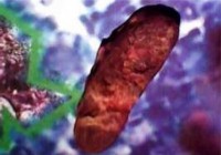 /album/gsw-forroo/lor-13a-jpg/